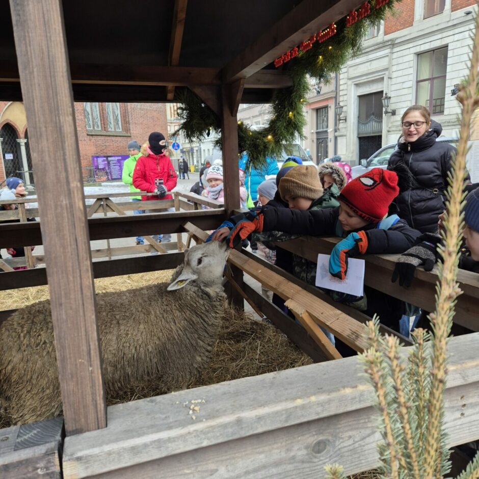 Ekskursija uz Rīgas pili