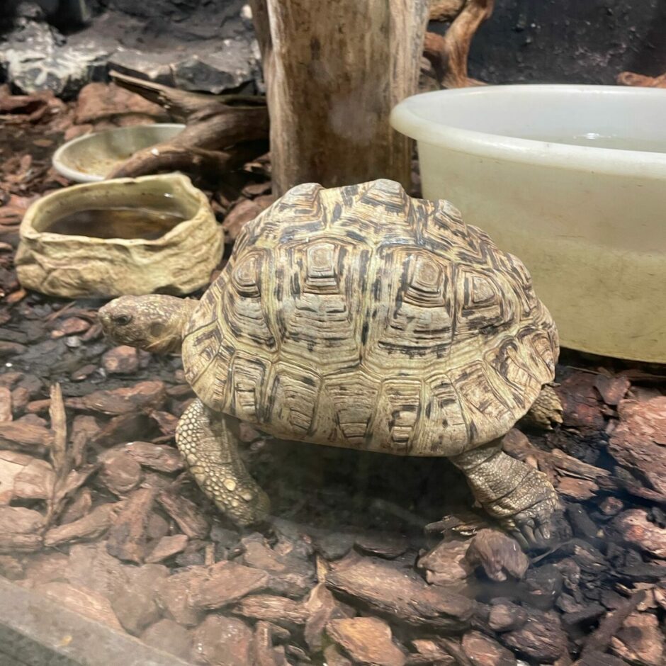 Zoo apmeklējums 6.klasei