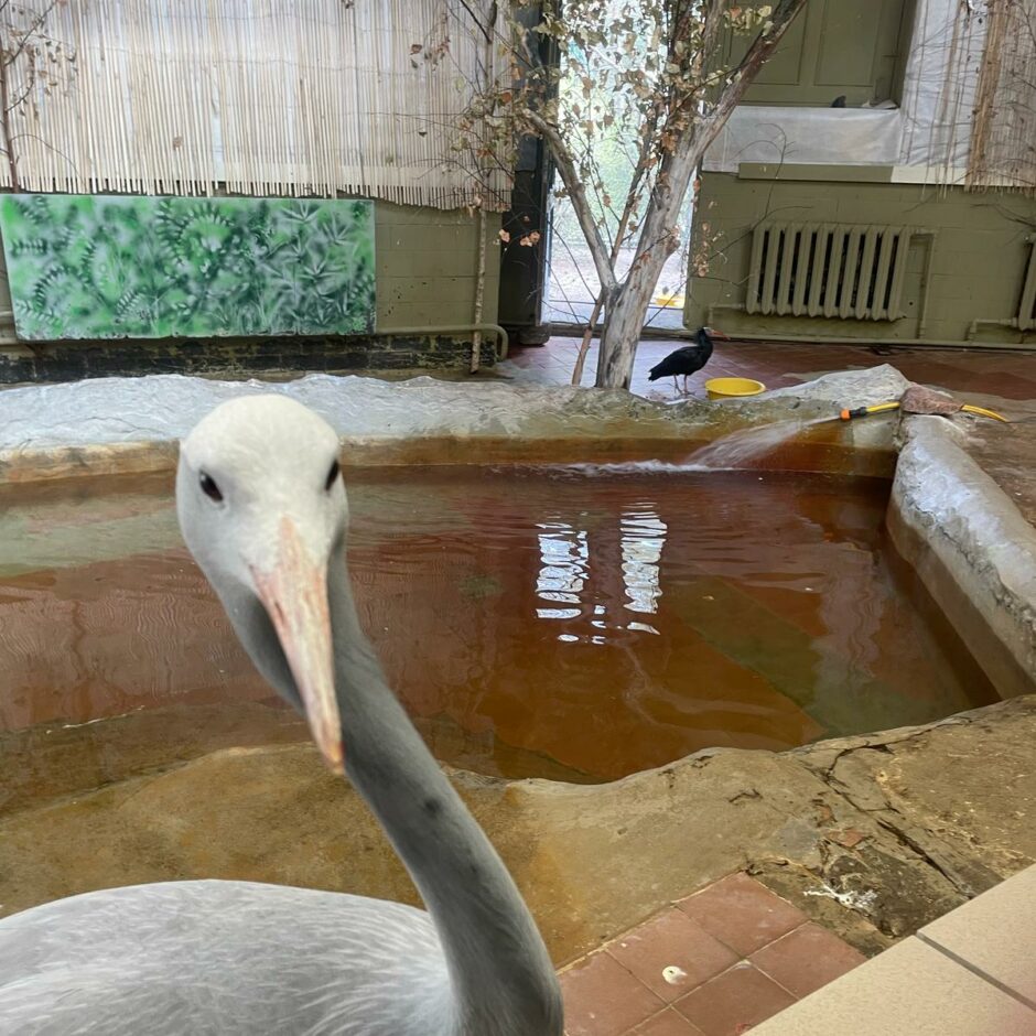 Zoo apmeklējums 6.klasei