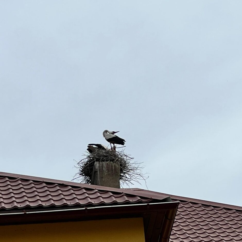 STEMOTĀJS pasākums 1.-9.klasēm