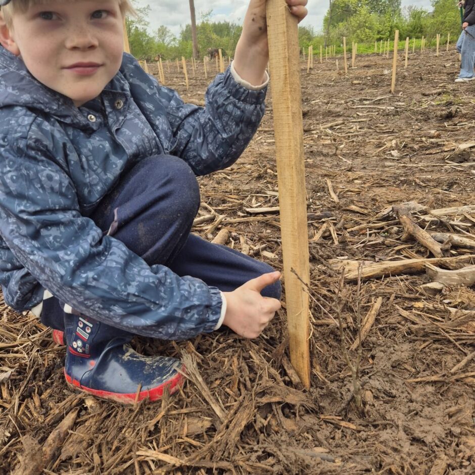 Meža dienas Tērvetē 2025