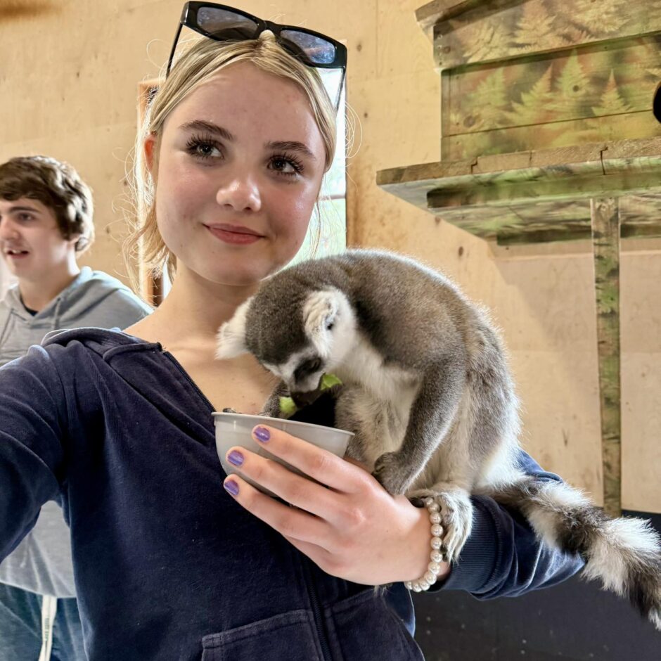 Cēsu pils apmeklējums