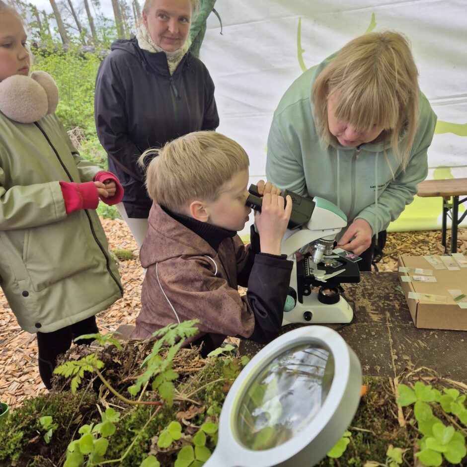 Meža dienas Tērvetē 2025