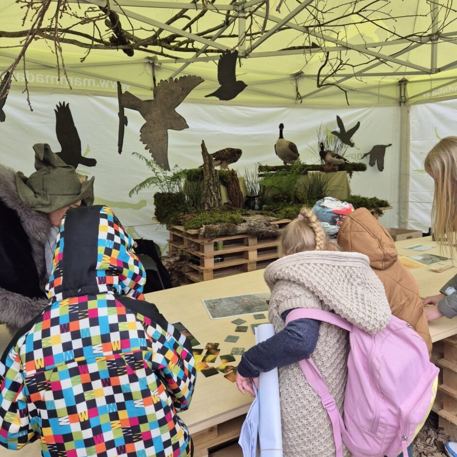 Meža dienas Tērvetē 2025